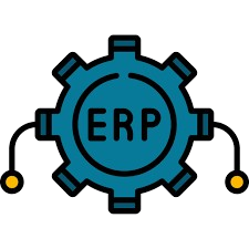 Enterprise Software Customization